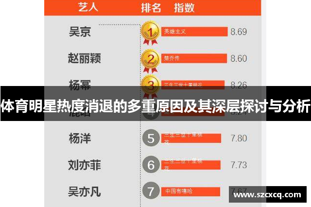 体育明星热度消退的多重原因及其深层探讨与分析