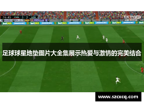 足球球星地垫图片大全集展示热爱与激情的完美结合