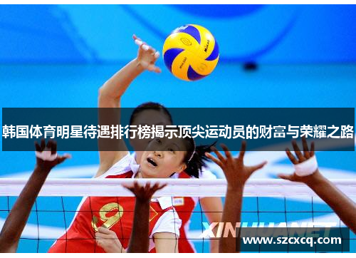 韩国体育明星待遇排行榜揭示顶尖运动员的财富与荣耀之路